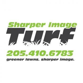 Sharper Image Turf