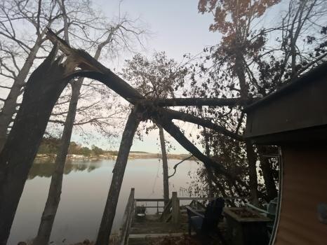 Gray's Tree Services