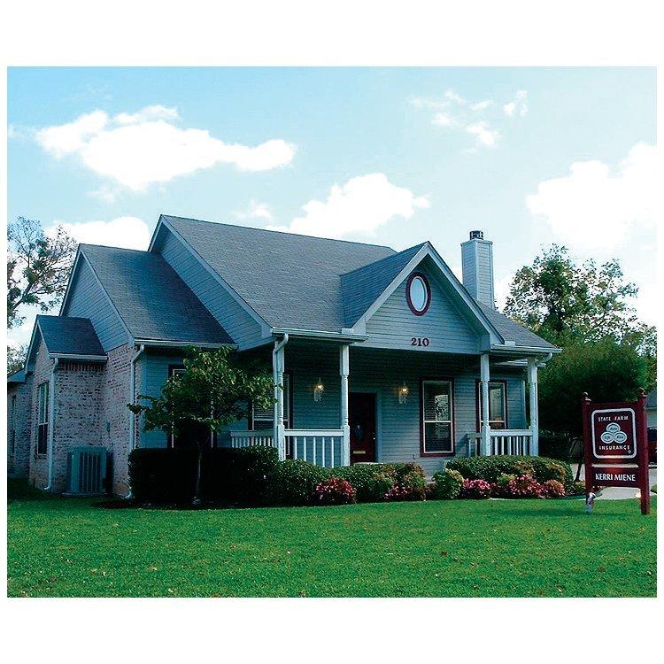 Kerri Miene-State Farm Insurance Agent