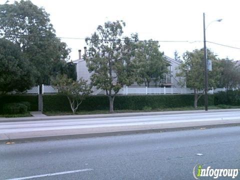 RVL Spinal Cord Organization For Regaining Excellence