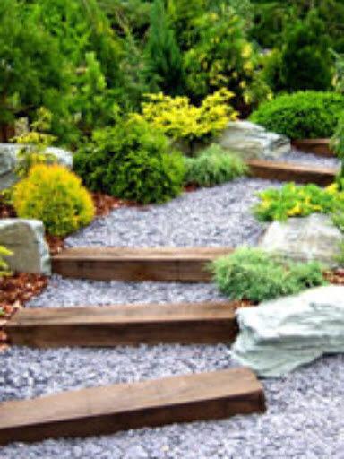 Action Yard and Tree Service