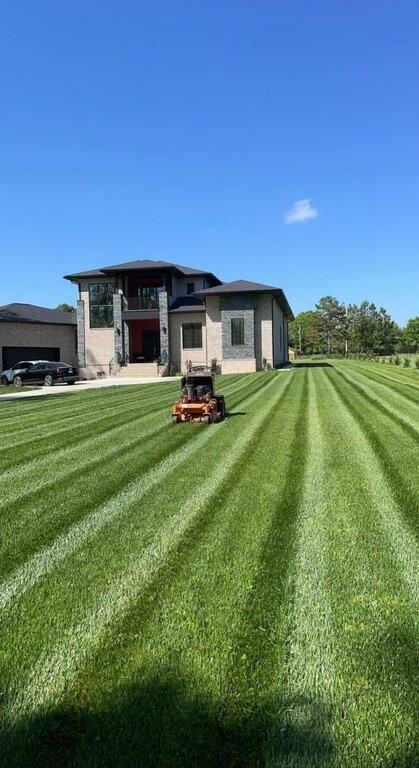 Signature Lawn and Landscape