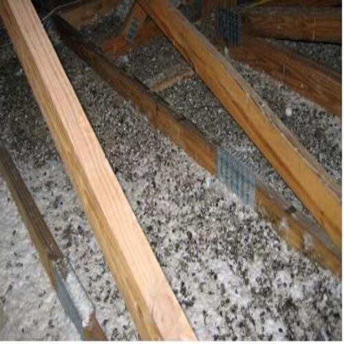 Alpine Wildlife Control LLC