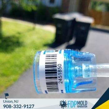 FDP Mold Remediation of Union
