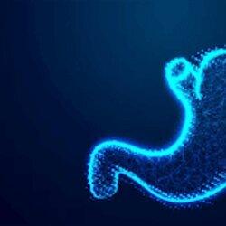 Empower Integrative Health