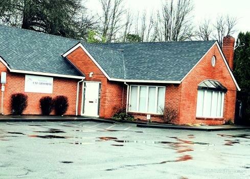 Cats in the City-Tandem Cat Grooming