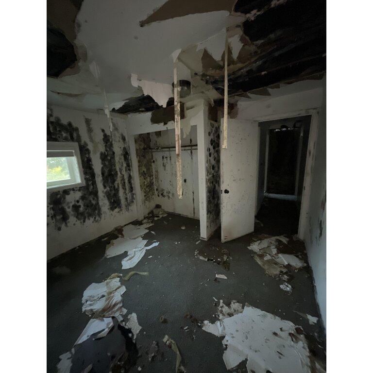 Hydro Heroes-Water Damage Experts