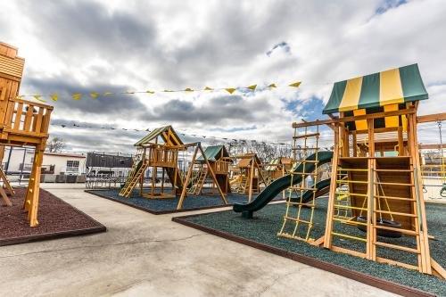 Best in Backyards