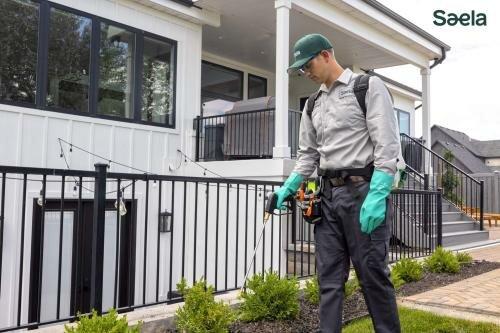 Saela Pest Control