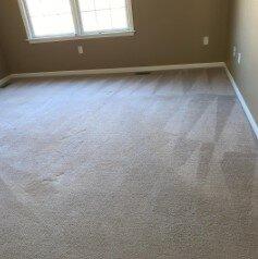 Arango Carpet Cleaning