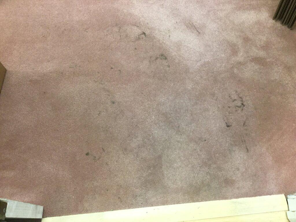 SERVPRO of Mt Prospect/North Des Plaines