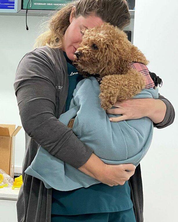 Clematis Animal Clinic