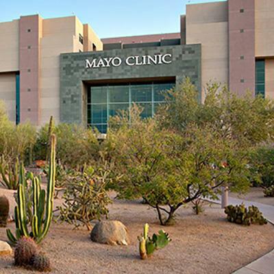 Mayo Clinic Pulmonary Medicine