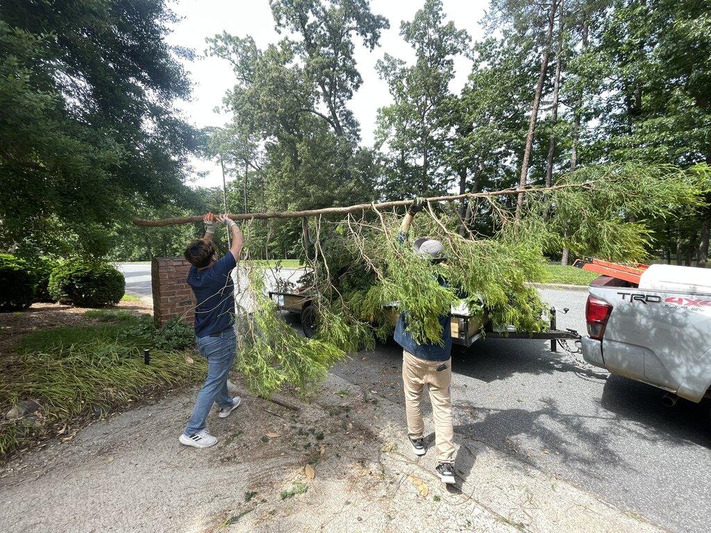 Quality Lawn Care & More