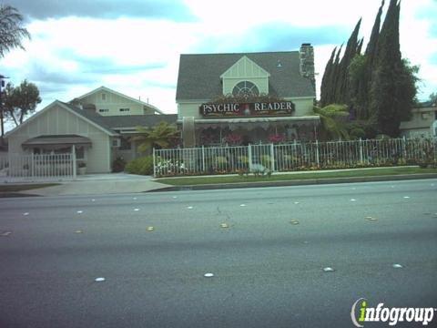 European Psychic Reader