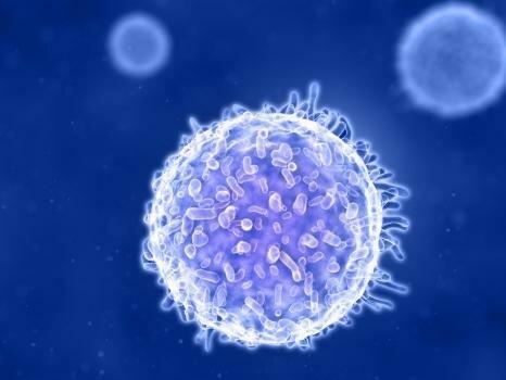 Atara Biotherapeutics, Inc