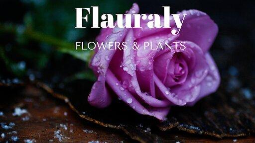 Flauraly-Floral Connections