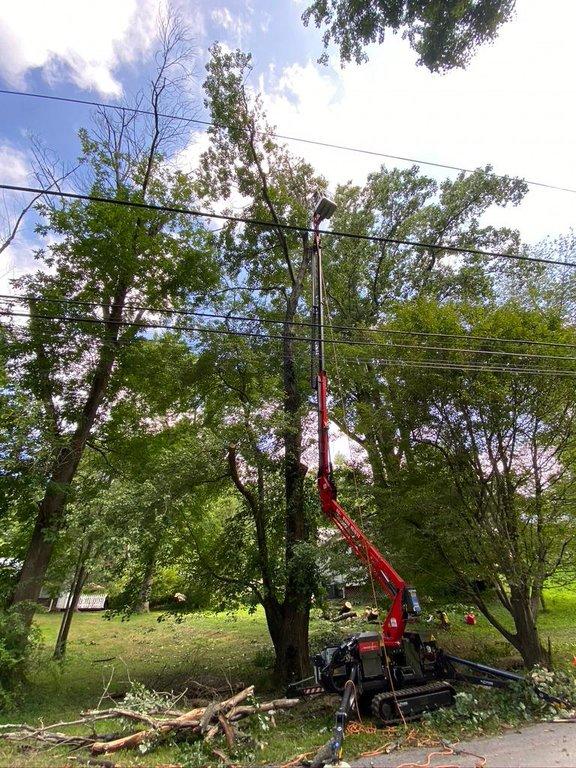 Axcobar Tree Services & Landscaping