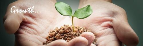 Equinox Therapeutic & Consulting Services