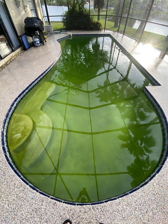 Phillips Pool Service Inc