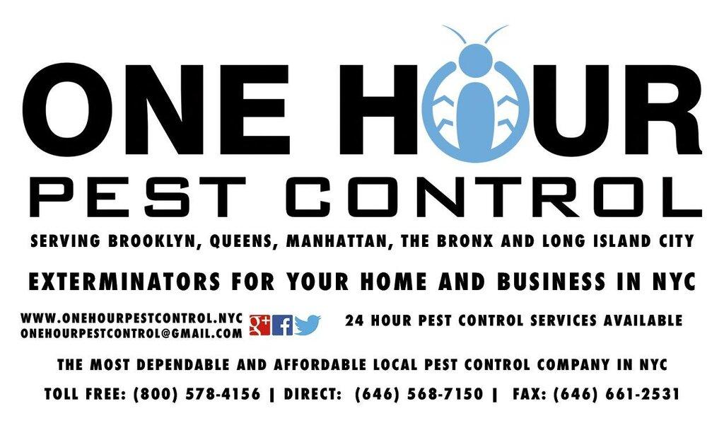 One Hour Pest Control