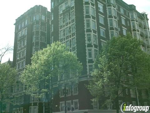 Aubertine Draper Rose