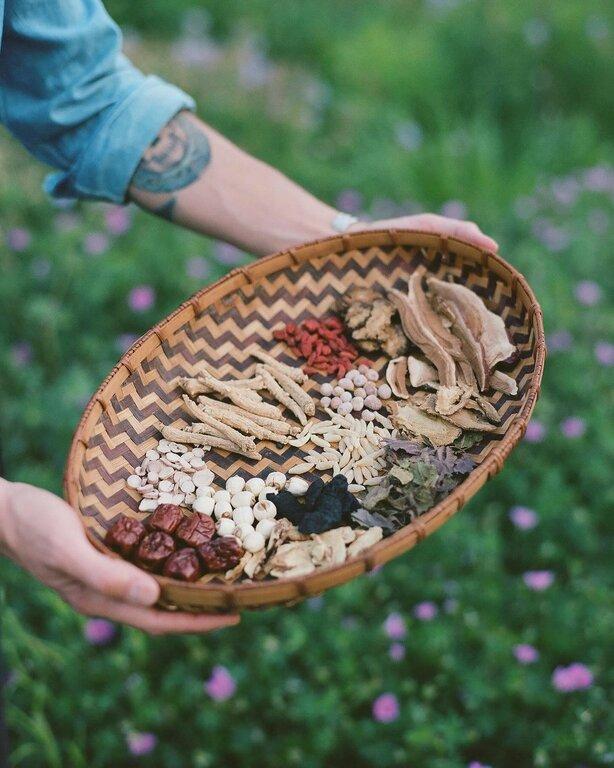 Yardley Healing Arts Acupuncture