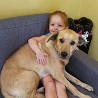 Benson's Canine Cookies