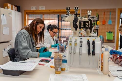 The Dairy Authority LLC