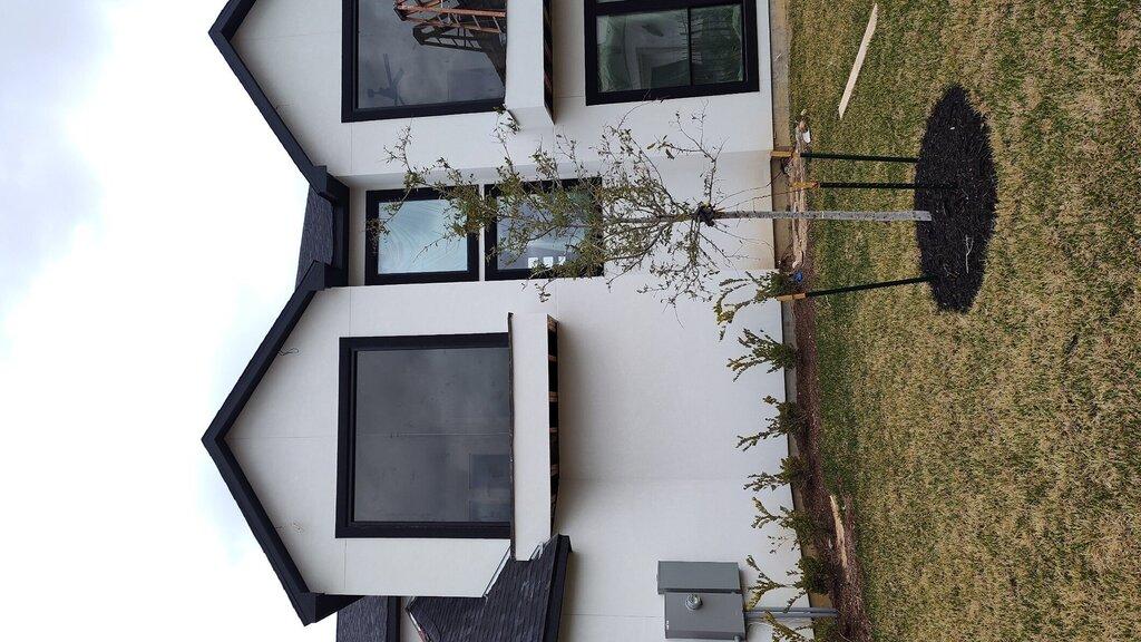 Local Window Repairs