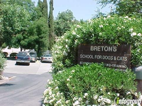 Breton's School For Dogs & Cats