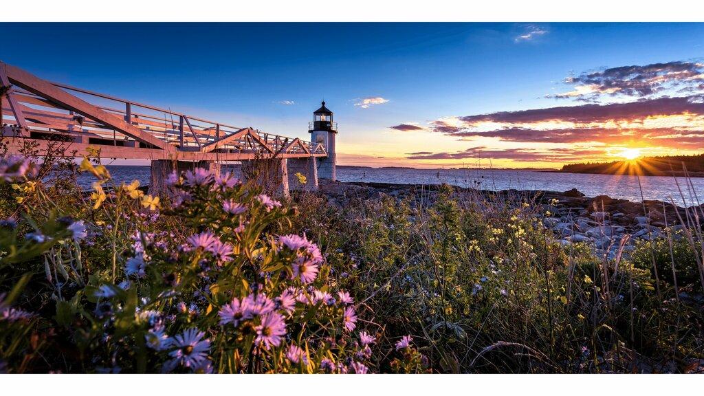 Balsam Realty - Maine Real Estate Experts