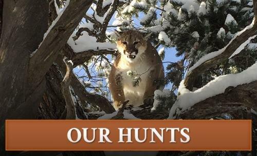 Canyon Rim Outfitters