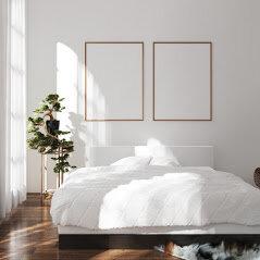 Dreamology Mattresses