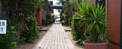 Macaw Digital Marketing