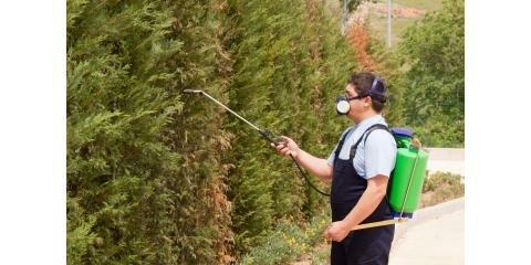 Otho's Pest Management