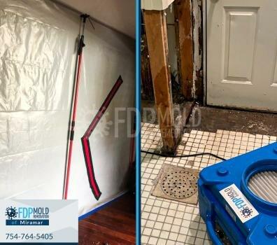 FDP Mold Remediation of Miramar