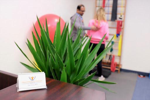 Sam Cyriac, PT - Omni Physical Therapy and Wellness