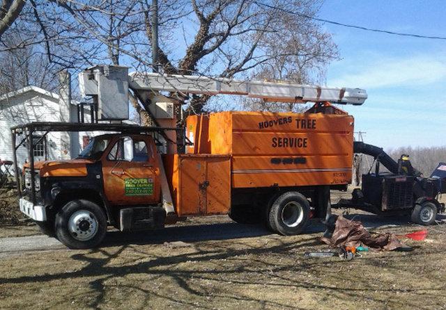 Hoover's Tree Service