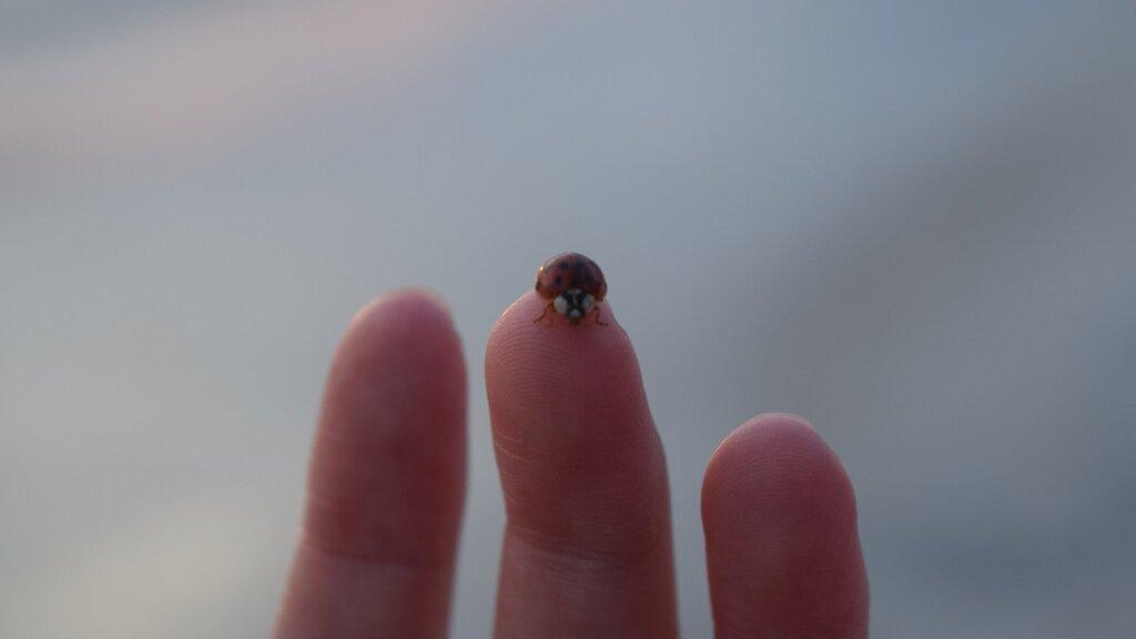 Sarah Jane Photography