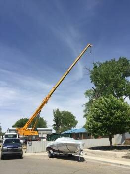 American Tree Removal