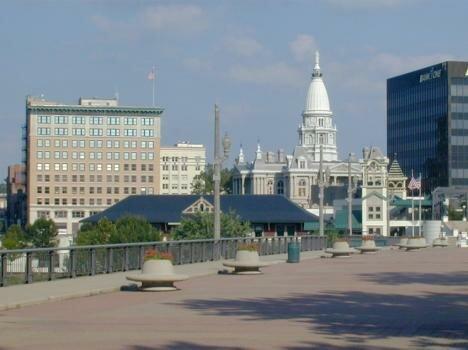 Insight Pest Solutions