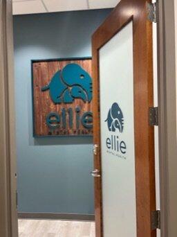 Ellie Mental Health