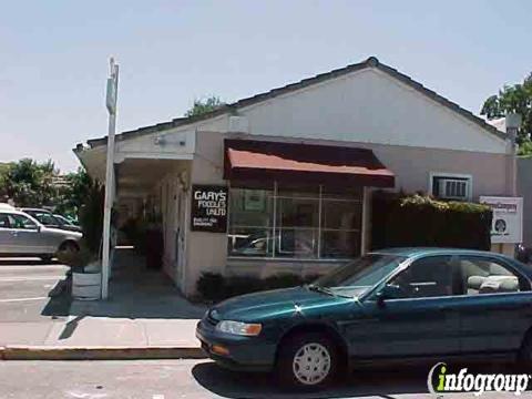 Top Dog of Los Gatos