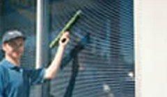 Top Notch Window & Gutter Cleaning