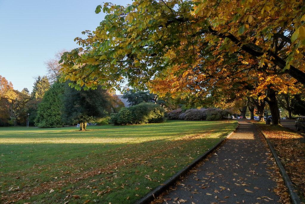 Coldwell Banker Bain