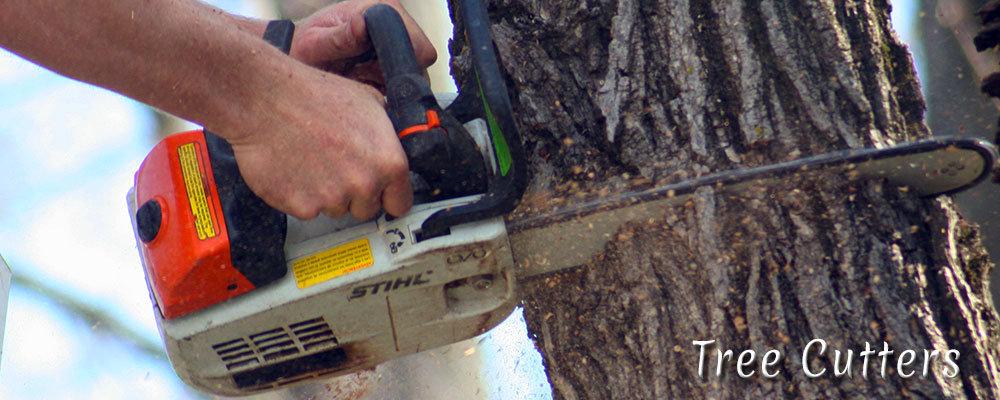 BJ Haines Tree Service