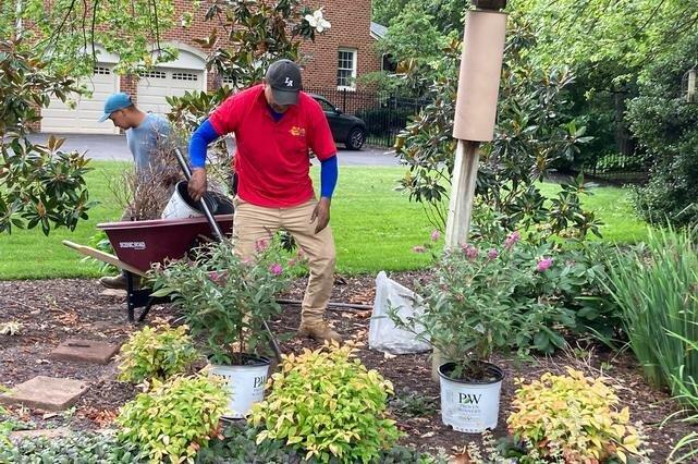 Betty's Azalea Ranch