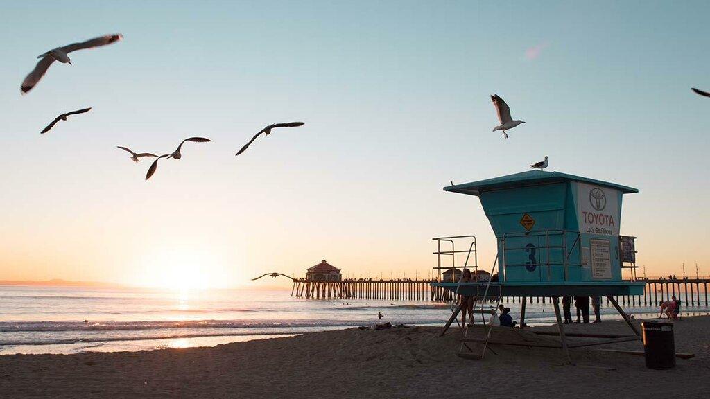 Law Office of Wolfgang Kovach