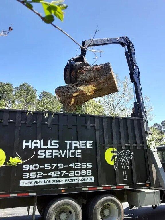 Hall's Tree Service